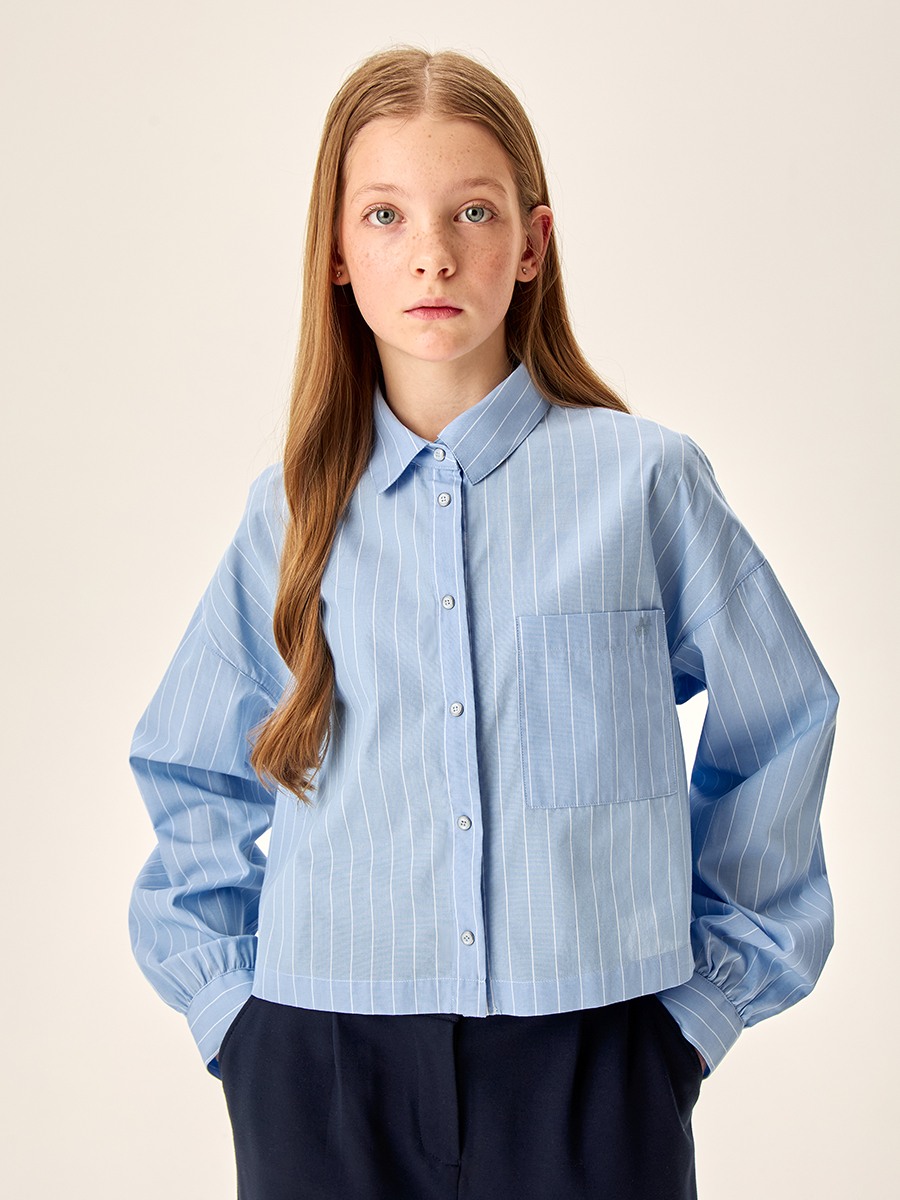 Блузка 4ш70026 голубая полоска