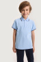 Рубашка-поло 4ш21225 голубой от производителя NIKASTYLE
