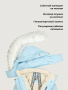 Куртка 4з4026 небесный от производителя NIKASTYLE