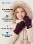 Варежки 14з53226 спелая вишня от производителя NIKASTYLE