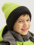 Шапка 11з16125 салатовый/черный от производителя NIKASTYLE